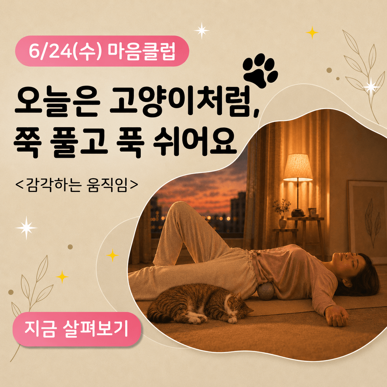 6/24(수) 마음클럽 : 고양이처럼 쭉 풀고, 푹 쉬어요